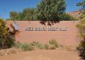 Alice Springs Desert Park - MyDriveHoliday